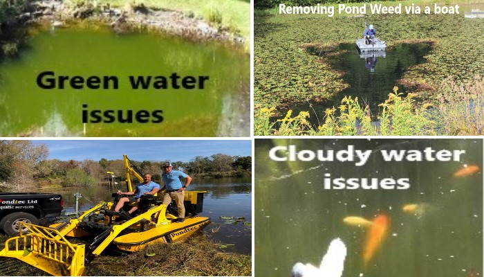 pond-water-management-image